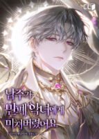 The Male Lead Went Crazy for the Villainess Who Keeps Causing Trouble Cover